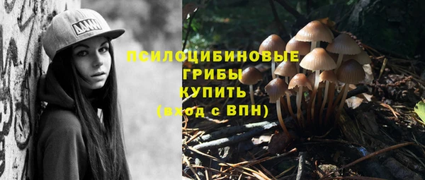 ешки Абинск